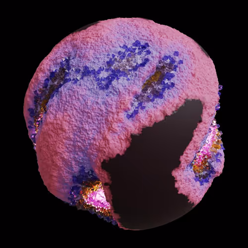 Asm Gen Ii Brains