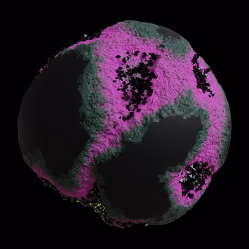 Asm Gen Ii Brains