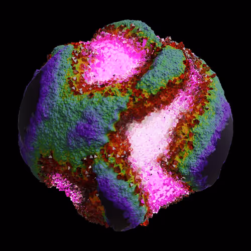 Asm Gen Ii Brains