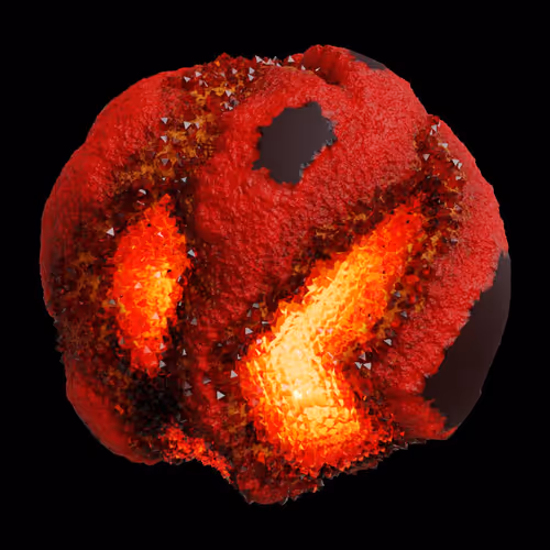 Asm Gen Ii Brains