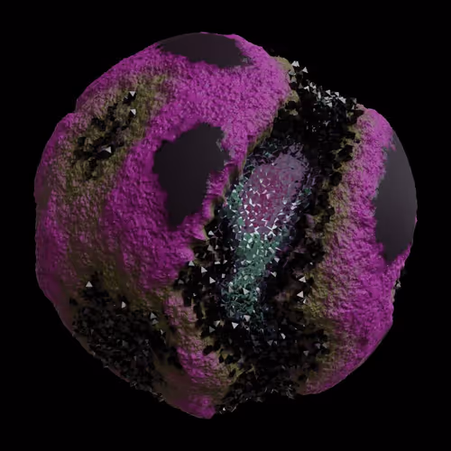 Asm Gen Ii Brains