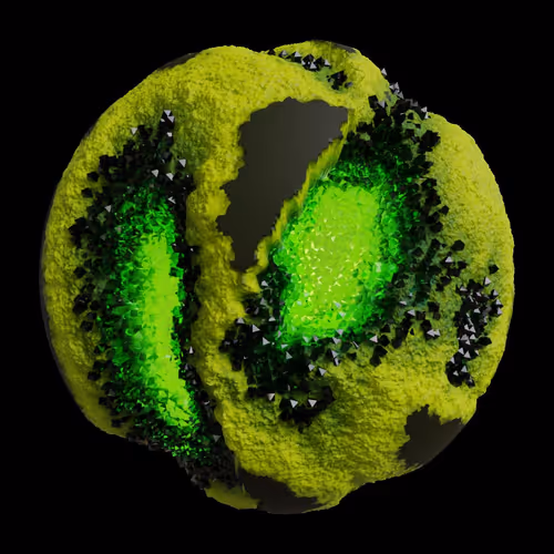 Asm Gen Ii Brains