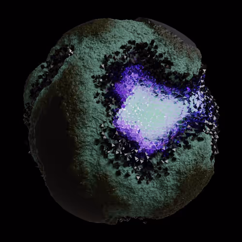Asm Gen Ii Brains