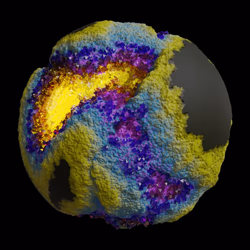 Asm Gen Ii Brains