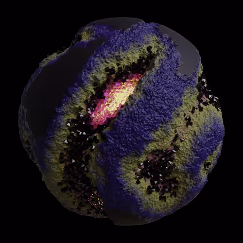 Asm Gen Ii Brains