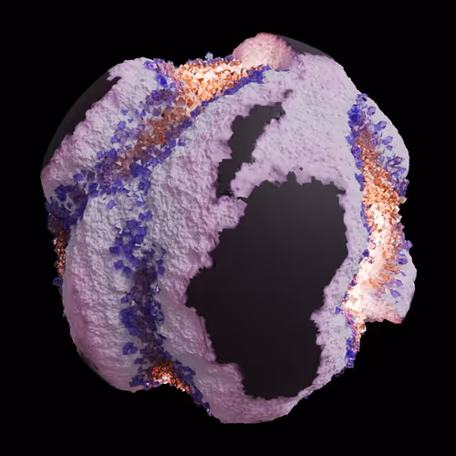 Asm Gen Ii Brains