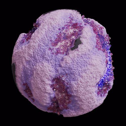 Asm Gen Ii Brains