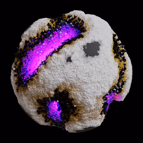 Asm Gen Ii Brains