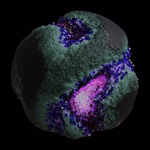 Asm Gen Ii Brains