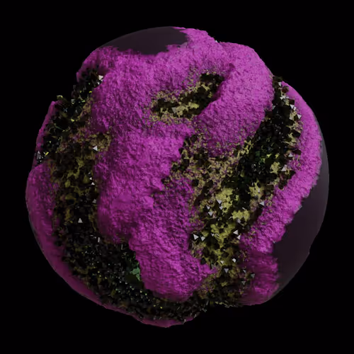 Asm Gen Ii Brains