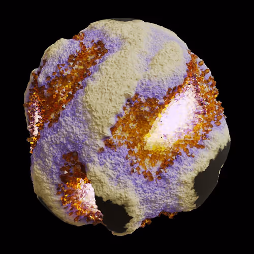 Asm Gen Ii Brains