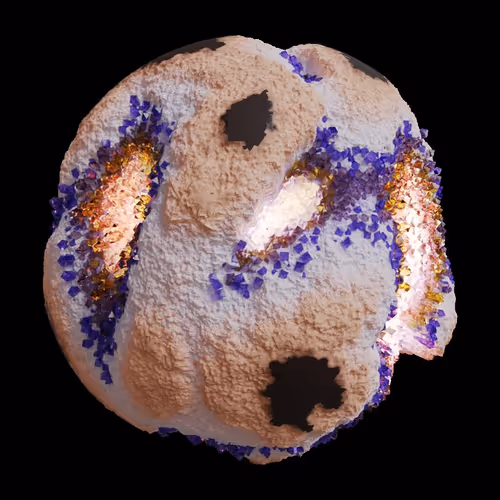 Asm Gen Ii Brains