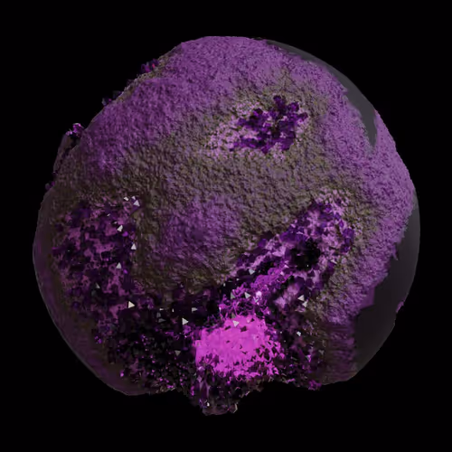 Asm Gen Ii Brains