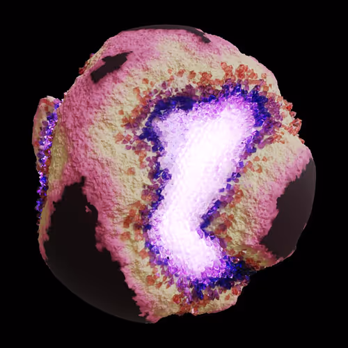 Asm Gen Ii Brains