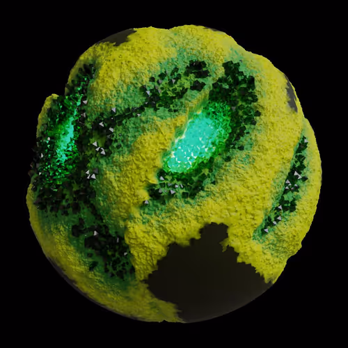 Asm Gen Ii Brains