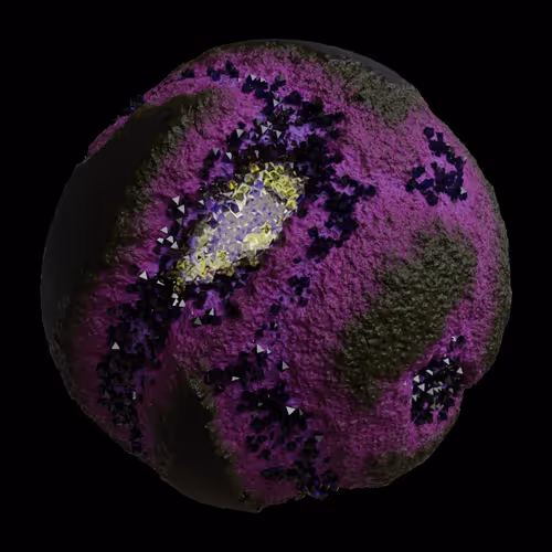 Asm Gen Ii Brains