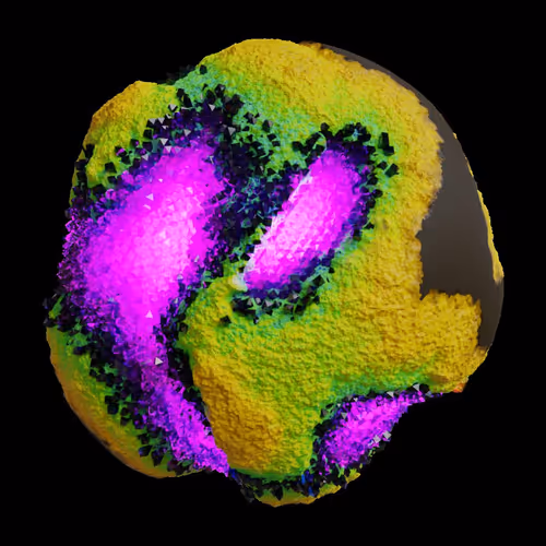 Asm Gen Ii Brains