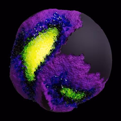 Asm Gen Ii Brains