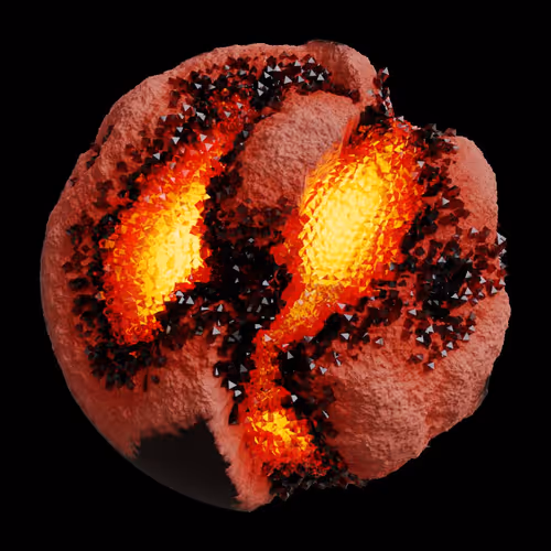 Asm Gen Ii Brains