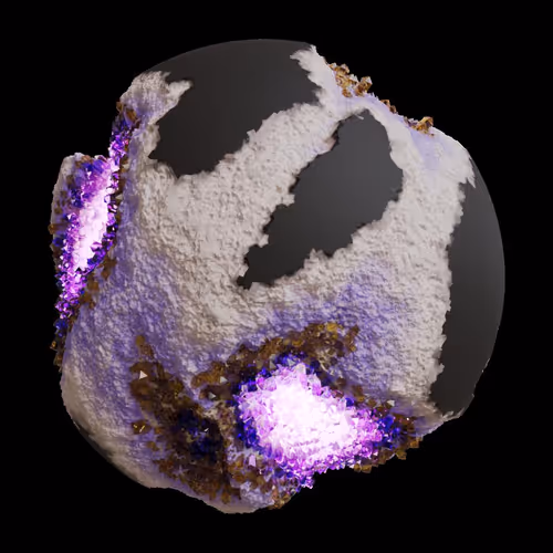 Asm Gen Ii Brains