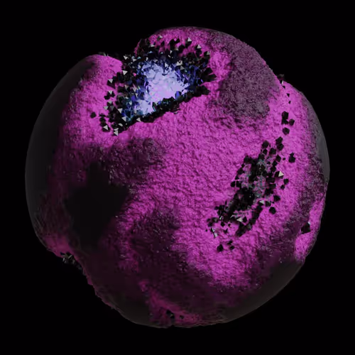 Asm Gen Ii Brains