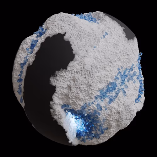 Asm Gen Ii Brains