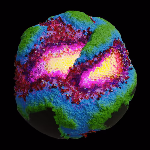 Asm Gen Ii Brains