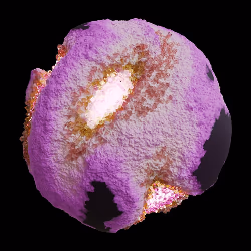 Asm Gen Ii Brains