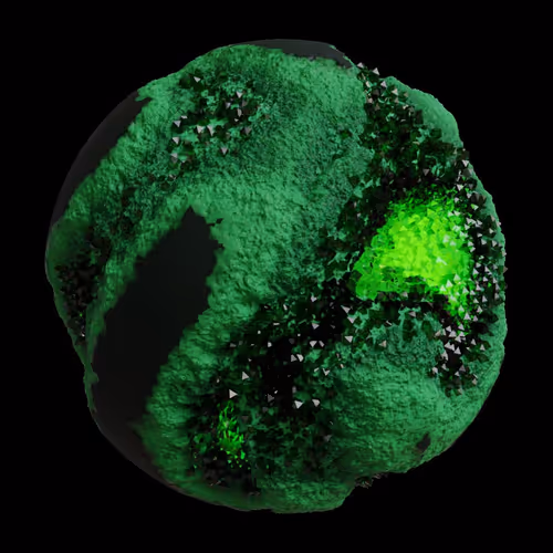 Asm Gen Ii Brains