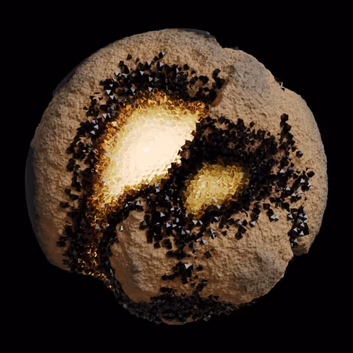 Asm Gen Ii Brains