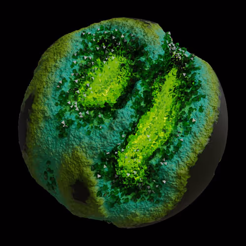 Asm Gen Ii Brains
