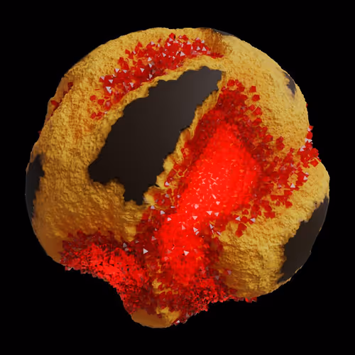 Asm Gen Ii Brains