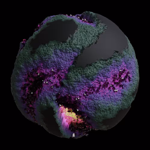 Asm Gen Ii Brains