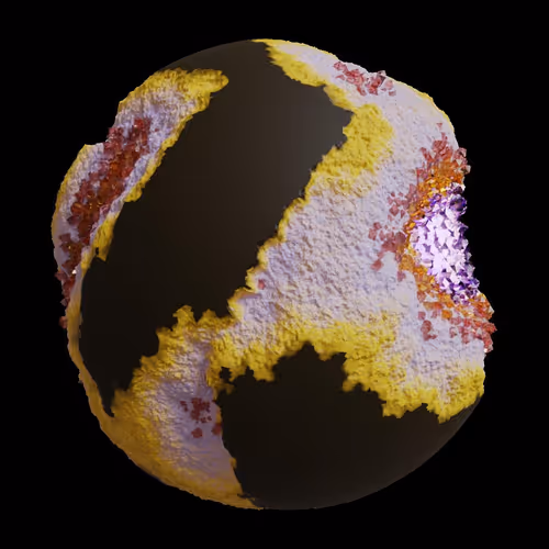 Asm Gen Ii Brains