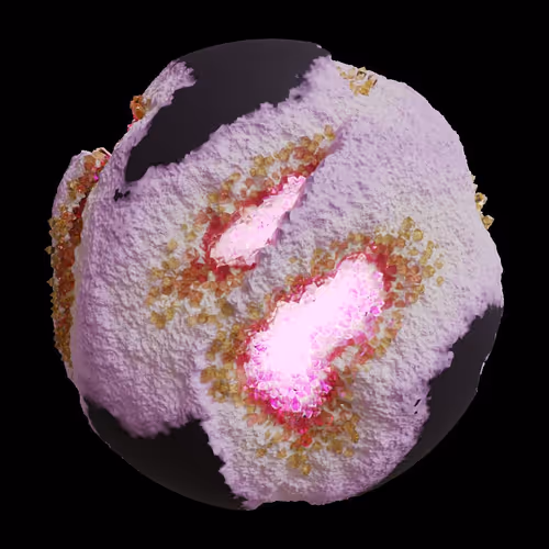 Asm Gen Ii Brains