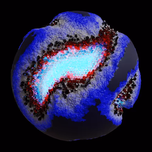 Asm Gen Ii Brains