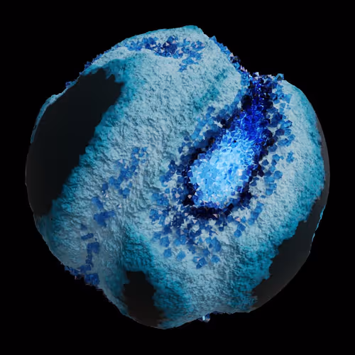 Asm Gen Ii Brains