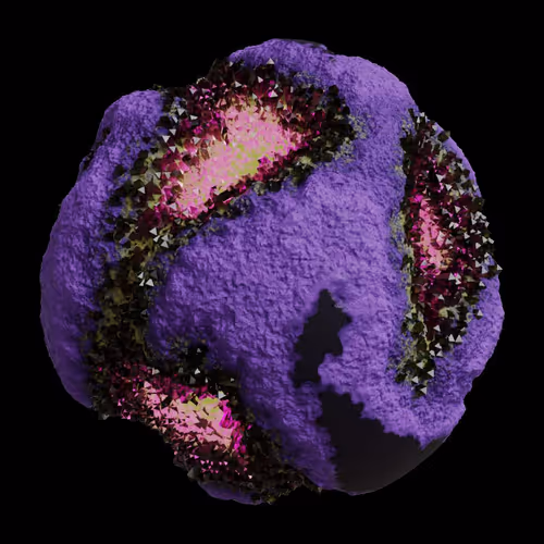 Asm Gen Ii Brains