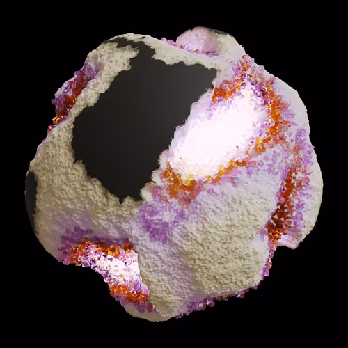 Asm Gen Ii Brains