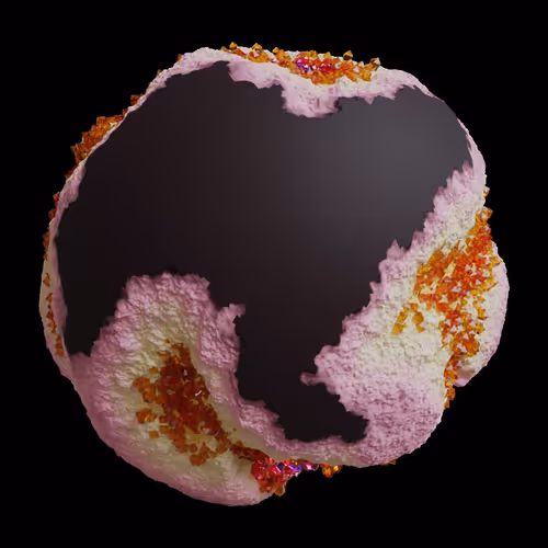 Asm Gen Ii Brains