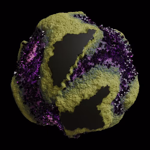 Asm Gen Ii Brains