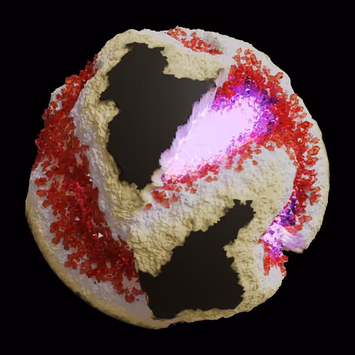 Asm Gen Ii Brains