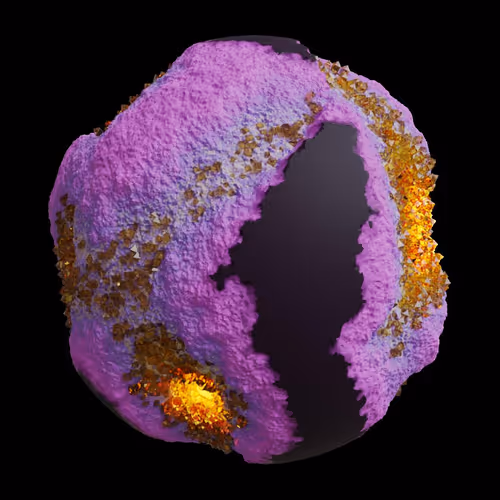 Asm Gen Ii Brains