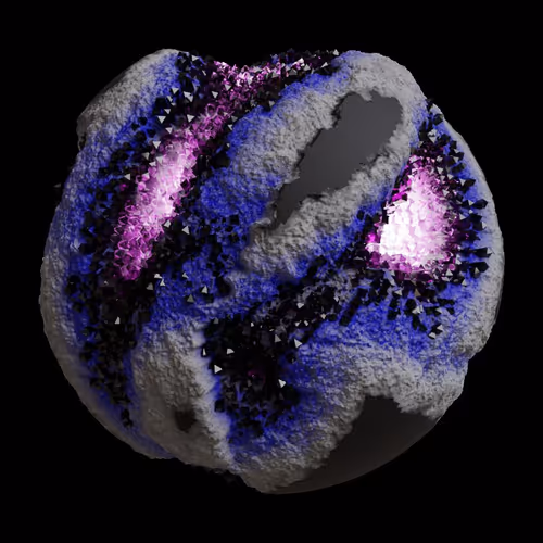 Asm Gen Ii Brains