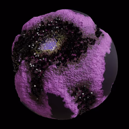 Asm Gen Ii Brains