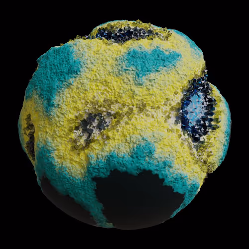 Asm Gen Ii Brains