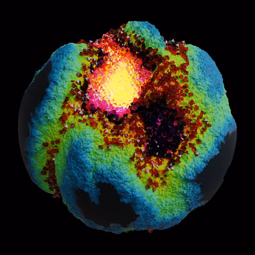 Asm Gen Ii Brains