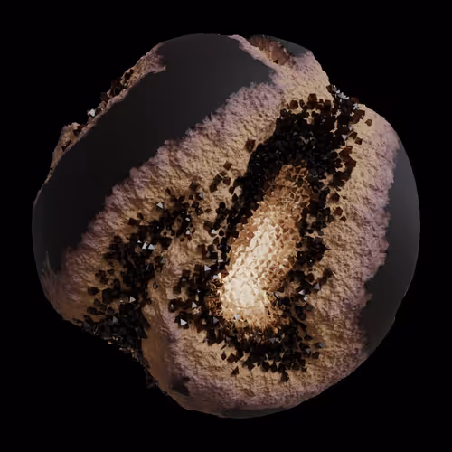 Asm Gen Ii Brains