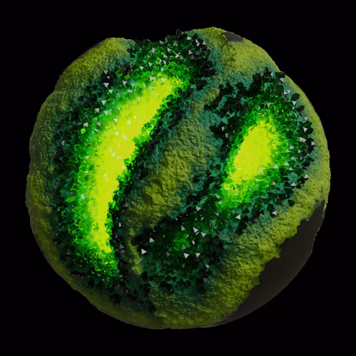 Asm Gen Ii Brains