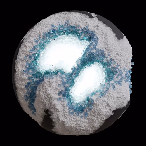Asm Gen Ii Brains